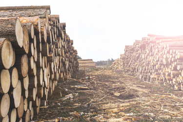 Similar image 21491341