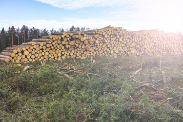 Similar image 21491342