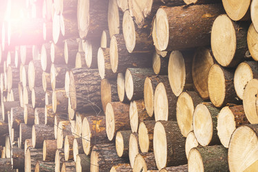 Similar image 21491343