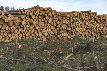 Similar image 21491344