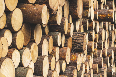 Similar image 21491345