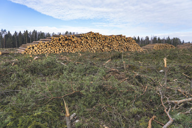 Similar image 21491346