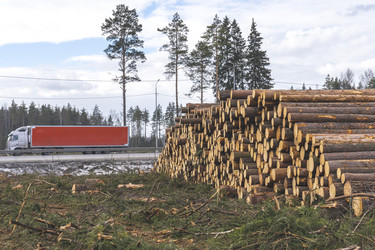 Similar image 21491347