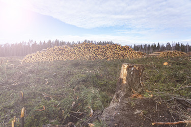 Similar image 21491348