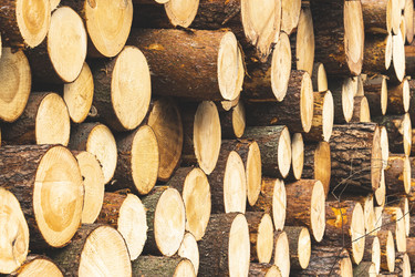 Similar image 21491349