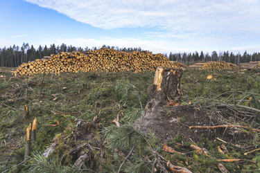 Similar image 21491350