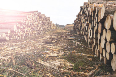 Similar image 21491351