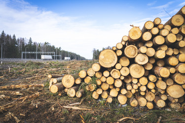 Similar image 21491354