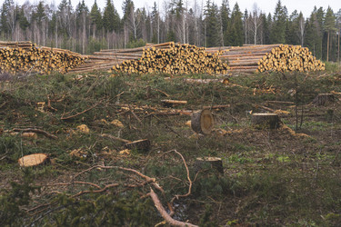 Similar image 21491355