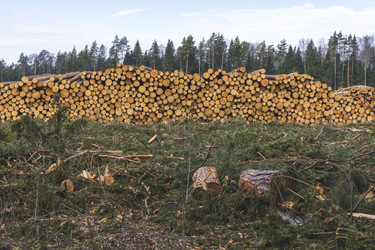 Similar image 21491356