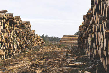 Similar image 21491357