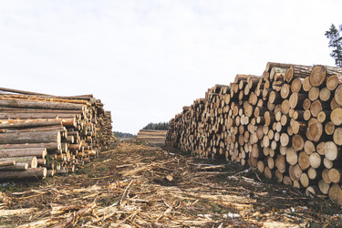 Similar image 21491358