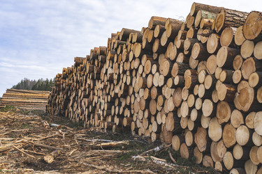 Similar image 21491359