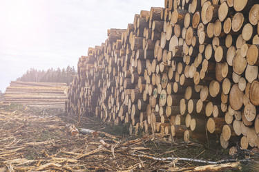 Similar image 21491362