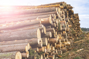 Similar image 21491363