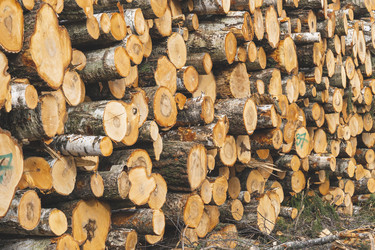 Similar image 21491367