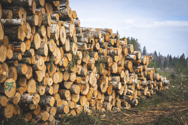 Similar image 21491370