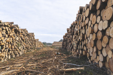 Similar image 21491374