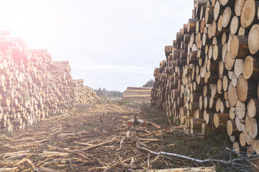 Similar image 21491375