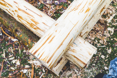 Similar image 21491376