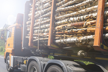 Similar image 21491378