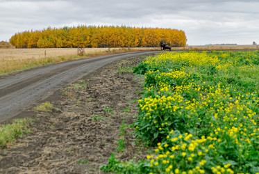 Similar image 21487644