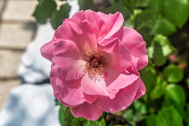 Similar image 21489454