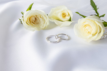 Similar image 21487104