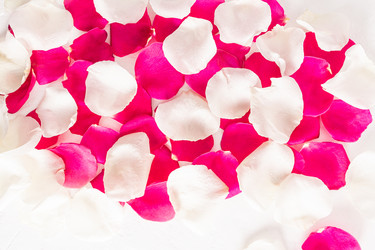 Similar image 21487116