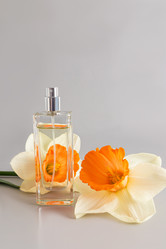 Similar image 21487117