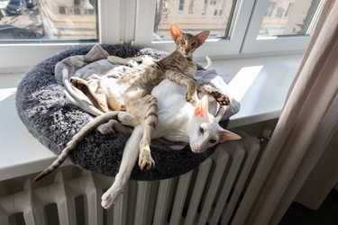 Similar image 21487152