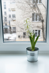 Similar image 21487153