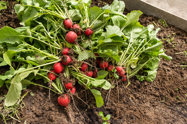 Similar image 21487155