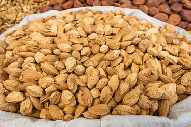 Similar image 21487157