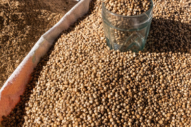 Similar image 21487158