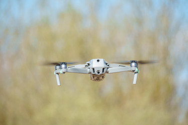 Similar image 21487762