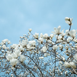 Similar image 21487774