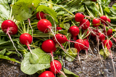 Similar image 21487777