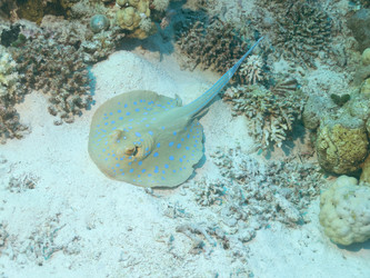 Similar image 21487780