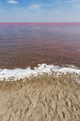 Similar image 21487800