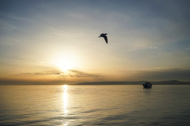 Similar image 21497317