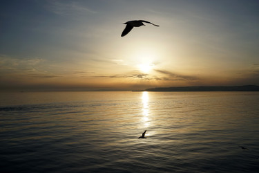 Similar image 21490993