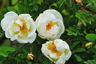 Similar image 21490358