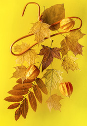 Similar image 21488210