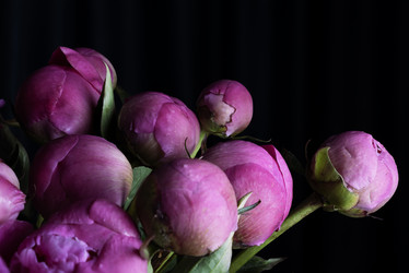 Similar image 21488214