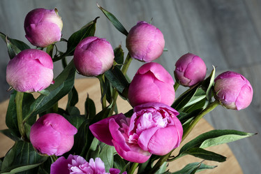 Similar image 21488215