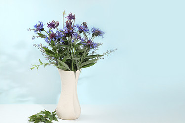 Similar image 21488216