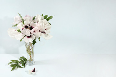 Similar image 21488217