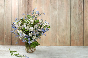 Similar image 21488222