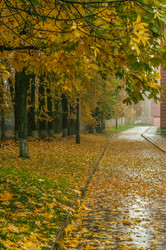 Similar image 21488891